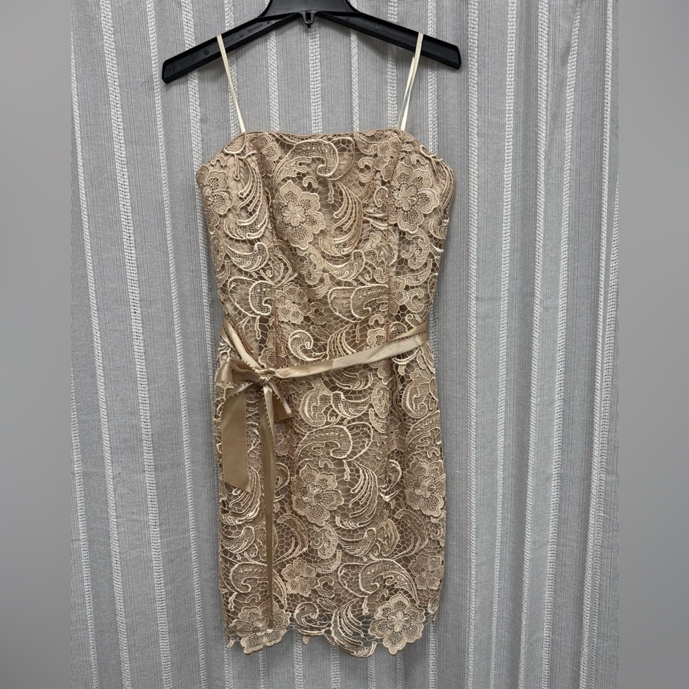 Adrianna‎ Papell Strapless Embroidered Lace Cocktail Dress Gold Beige Size 6 EUC